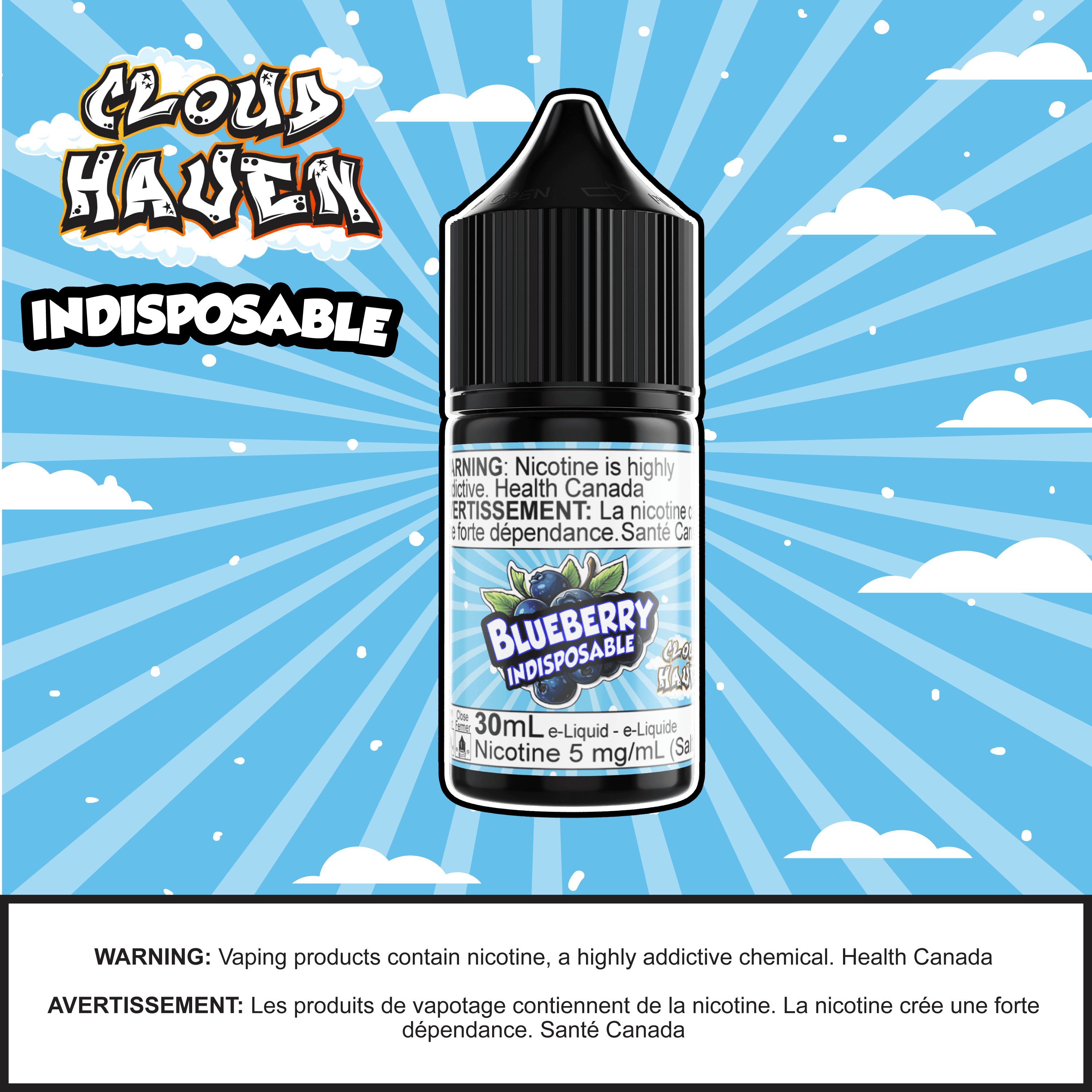 Cloud Haven - INDISPOSABLE Blueberry salt nicotine e-liquid bottle